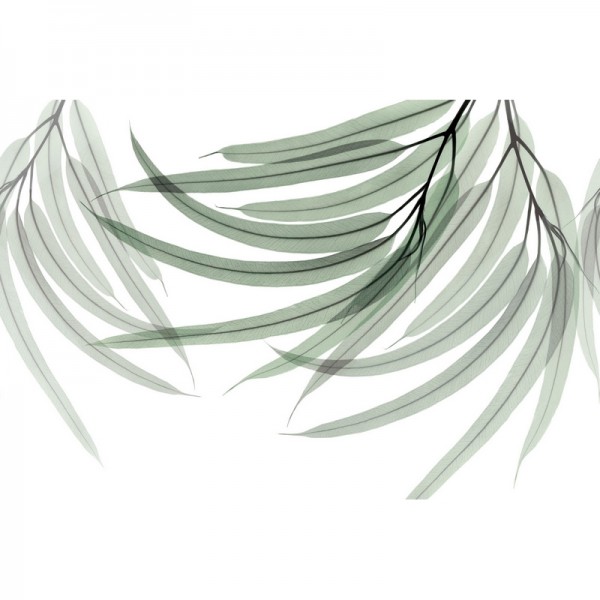 Papel de parede GREEN FINGERS GL6074B - GLAMORA Papel de parede GREEN FINGERS GL6074B - GLAMORA
