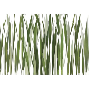Papel de parede GREENFIELDS GL2011A - GLAMORA