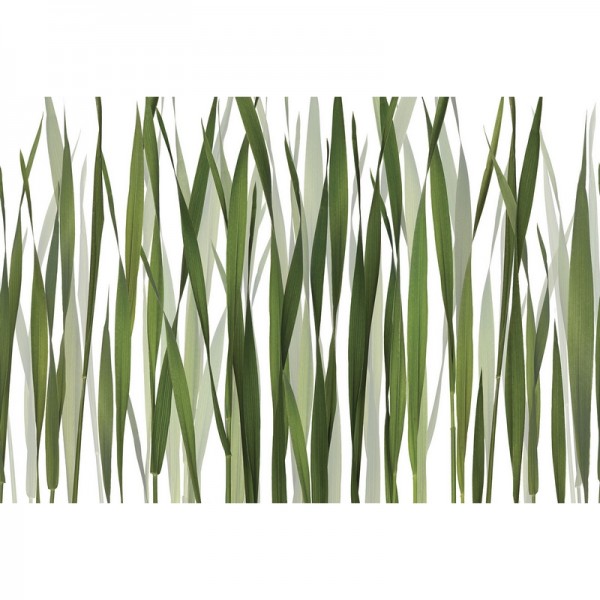 Papier peint GREENFIELDS GL2011A - GLAMORA Papier peint GREENFIELDS GL2011A - GLAMORA