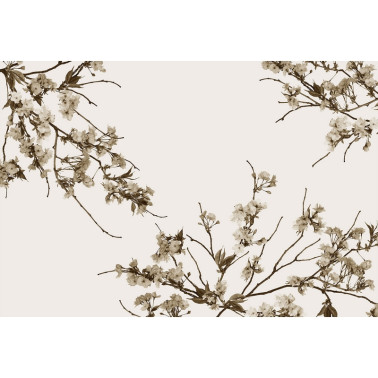 Carta da Parati KOREAN BLOSSOM GL4011A - GLAMORA