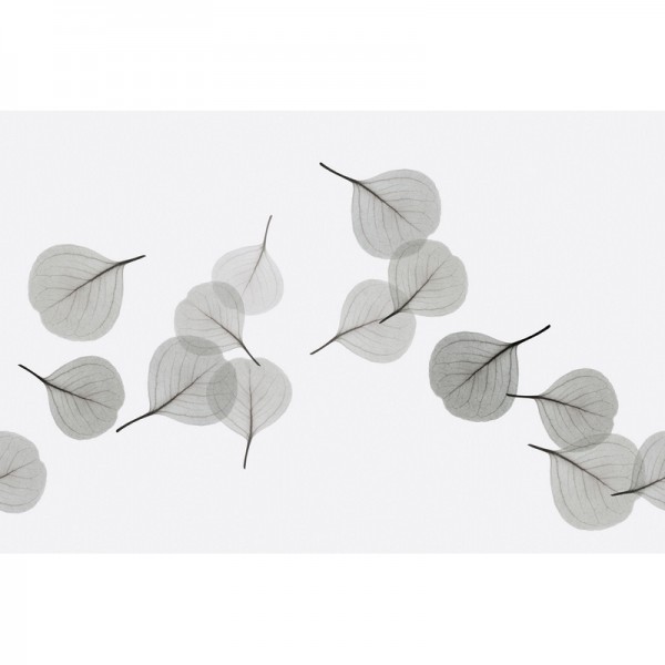 Carta da Parati LIGHT BREEZE GL6082B - GLAMORA Carta da Parati LIGHT BREEZE GL6082B - GLAMORA