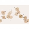 LIGHT BREEZE GL6083B