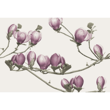 Carta da Parati SOULANGE GL4043B - GLAMORA