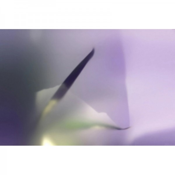 NARCISO GLX121A NARCISO GLX121A