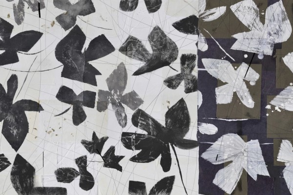 MAGNOLIAS GLX91A