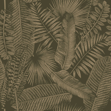 EXOTIC DARK