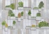 Vertical Forest 9000060