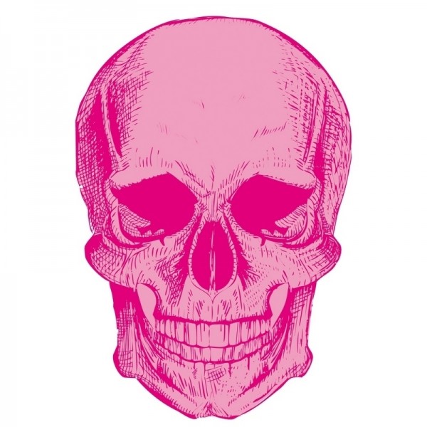 SKULL WHITE SKULL WHITE