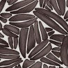 Succulent TP301 02