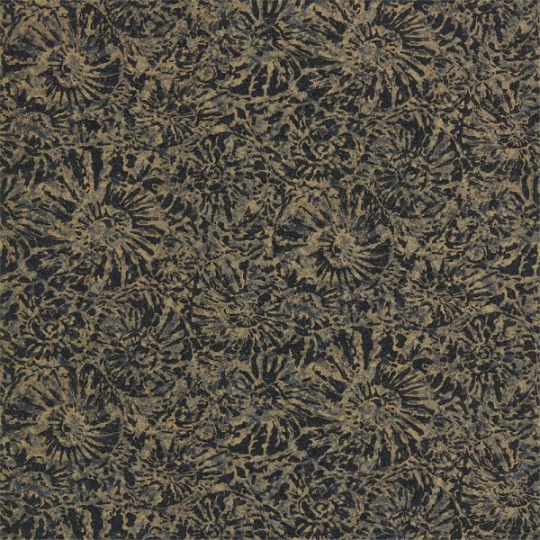AMMONITE EANW112562 AMMONITE EANW112562