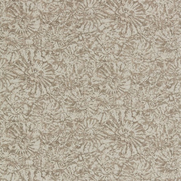 AMMONITE EANW112564 AMMONITE EANW112564