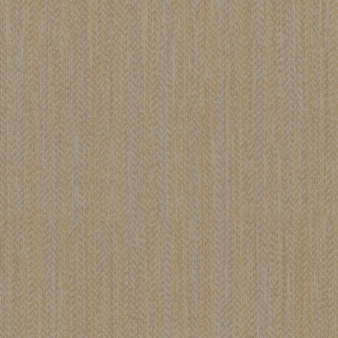 Surf 6442