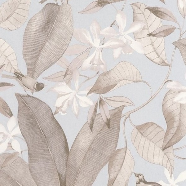Delicacy Birdsong Bleu Taupe 85382261 Delicacy Birdsong Bleu Taupe 85382261