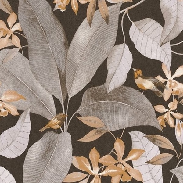 Delicacy Birdsong Noir Taupe 85382414 Delicacy Birdsong Noir Taupe 85382414
