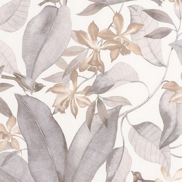 Delicacy Birdsong Taupe Gris 85389242 Delicacy Birdsong Taupe Gris 85389242