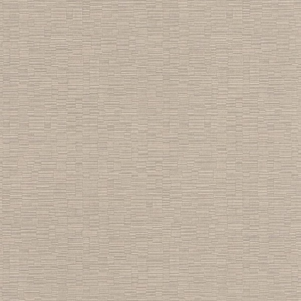 Delicacy Wild Beige Gris 85371257 Delicacy Wild Beige Gris 85371257