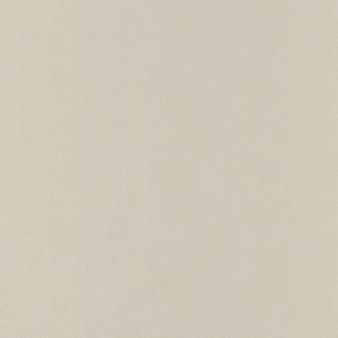 64521010