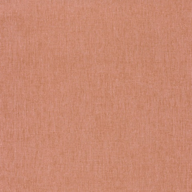 100604209