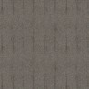 Iguana Clay CAB901
