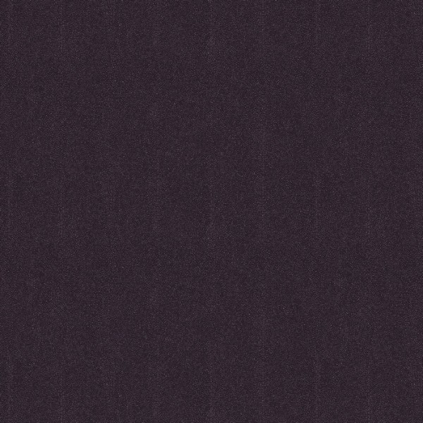 Iguana Purple CAB905 Iguana Purple CAB905