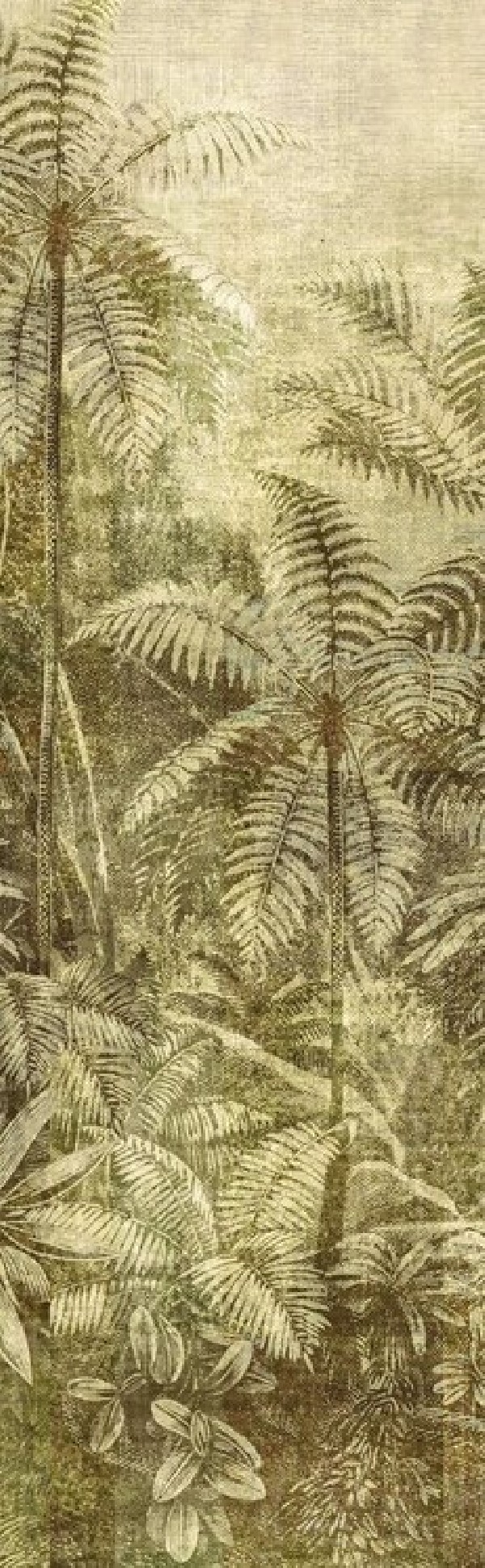 Wander Leaf DGCAB 1021 Wander Leaf DGCAB 1021