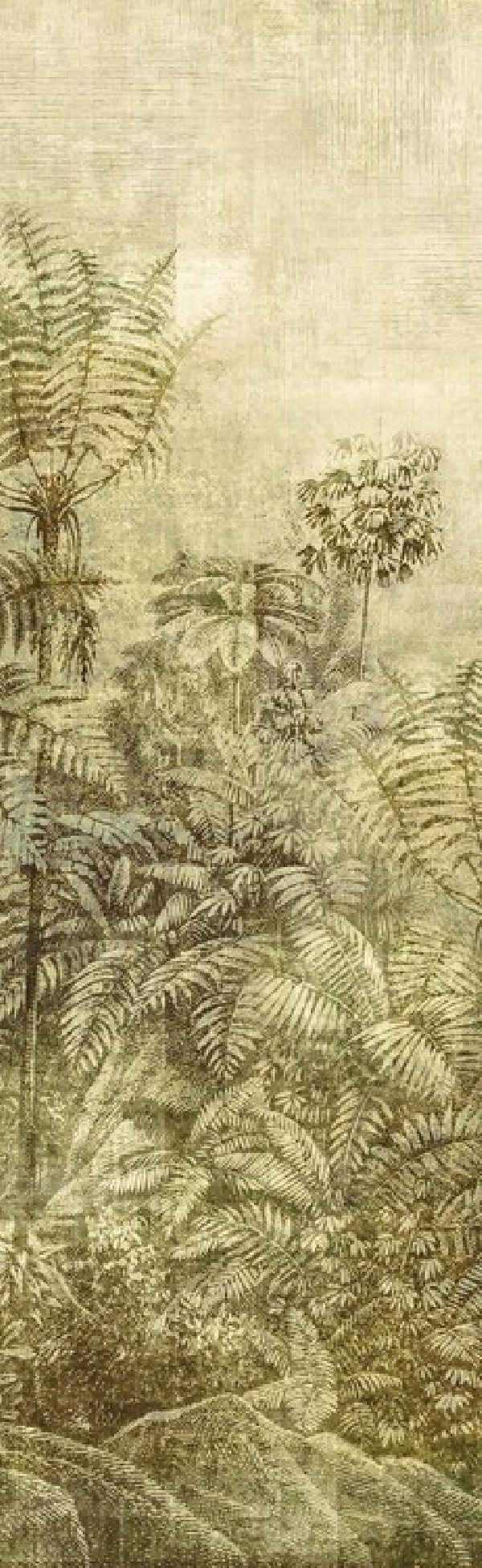 Wander Leaf DGCAB 1022 Wander Leaf DGCAB 1022