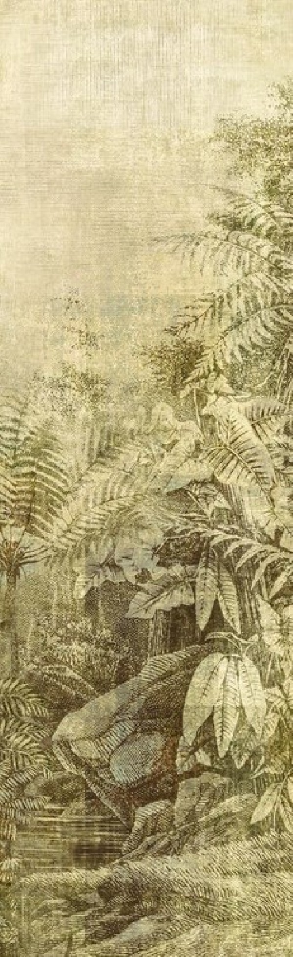 Wander Leaf DGCAB 1023 Wander Leaf DGCAB 1023