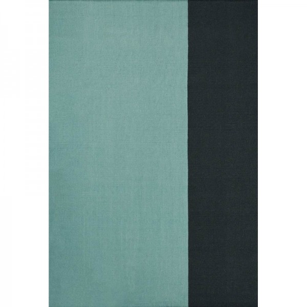 SHARED AQUA SHARED AQUA