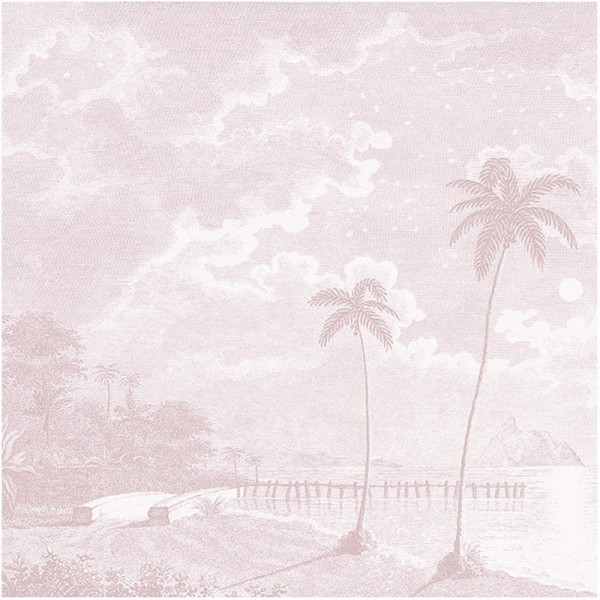 PALMAR PINK DOM308-2 PALMAR PINK DOM308-2