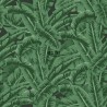 Jungle Fever 138985