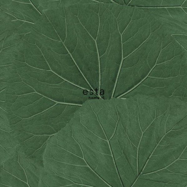 138996 138996