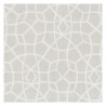 Sculptural Web Unpasted HC7524