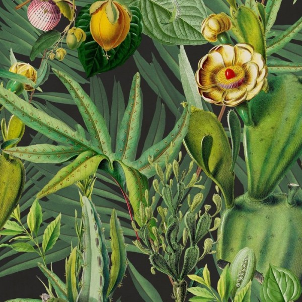Luscious Flora WP20518 Luscious Flora WP20518