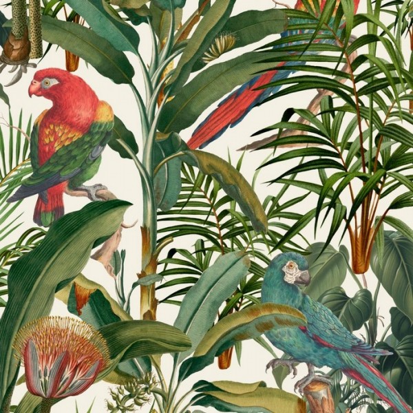 Parrots Of Brasil WP20521 Parrots Of Brasil WP20521