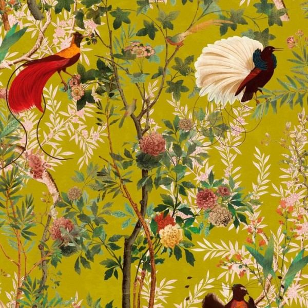Royal Garden WP20465 Royal Garden WP20465