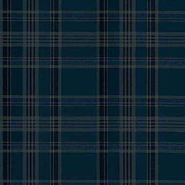 Deerpath Trail Plaid Indigo PRL5020-04
