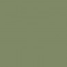 Boîte de couleur Velvet Olive F111-11042