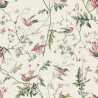 Coton 100 % F62-1001