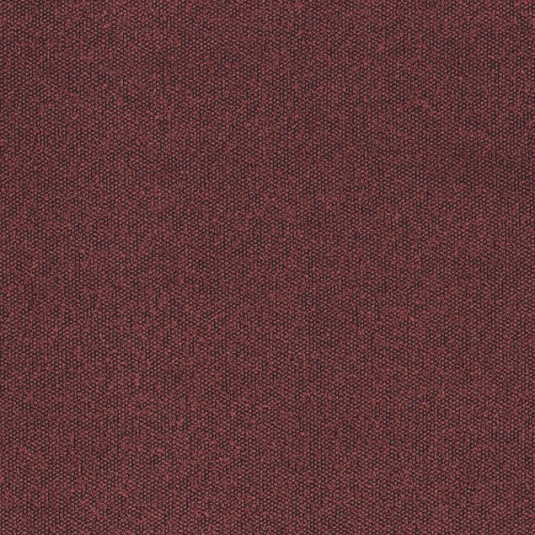 Taiga 45941645 Taiga 45941645