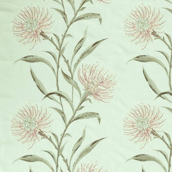Catherinae Embroidery 237189 Catherinae Embroidery 237189
