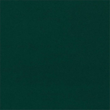 Dorton 237006