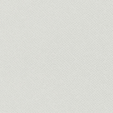 Filum Polar F1421-03