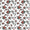 Red Sarite LCT-1069-001