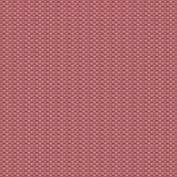 ISAMU-CORAL-GDT-5637-007 ISAMU-CORAL-GDT-5637-007