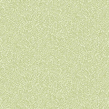 Anna 55001
