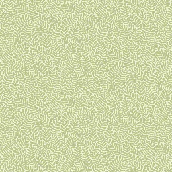 Anna 55001 Anna 55001