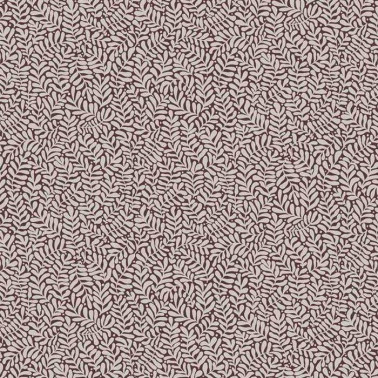 Anna 55005