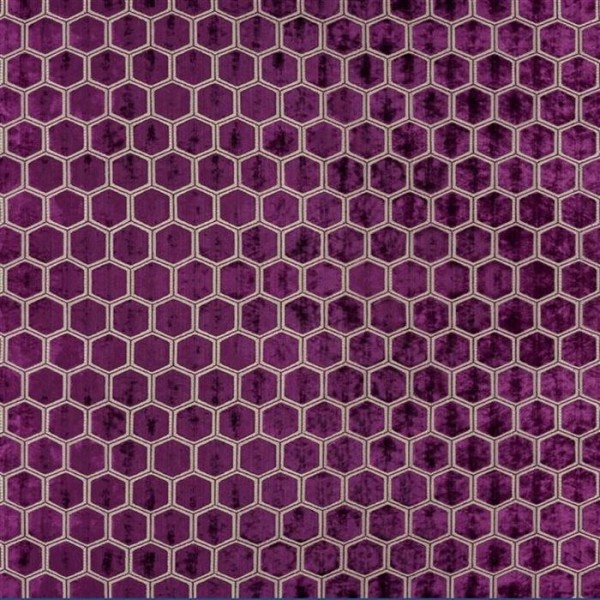 Manipur Damson FDG2832-12 Manipur Damson FDG2832-12