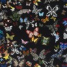 Butterfly Parade Dark FCL025-03