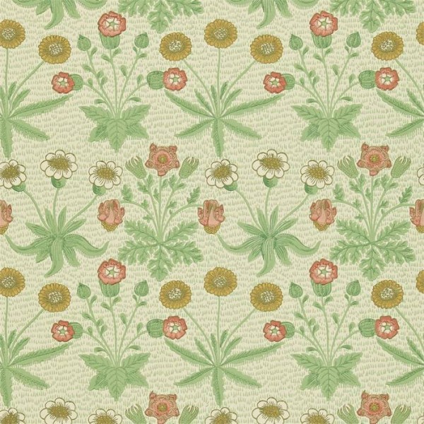 Daisy DCMW216838 Daisy DCMW216838